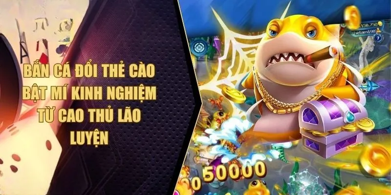 Kinh nghiệm trải nghiệm bất bại với hình thức săn ngư đổi thẻ cào