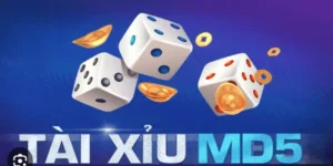 Tài Xỉu MD5